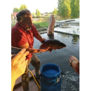 Пруд на даче